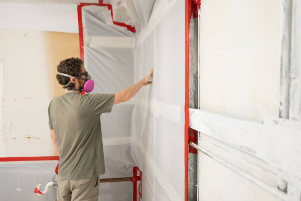 Best Crawl Space Mold Remediation  in Fairport, NY