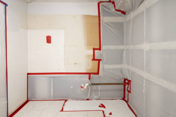 Best Mold-Related Health Consultation  in Fairport, NY